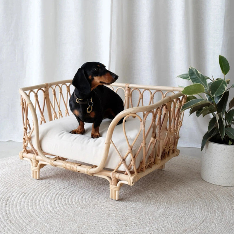 Cane rattan dog outlet bed